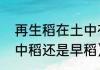 再生稻在土中存活几年（再生稻属于中稻还是早稻）