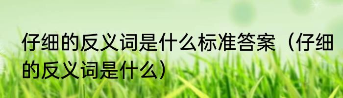 仔细的反义词是什么标准答案（仔细的反义词是什么）