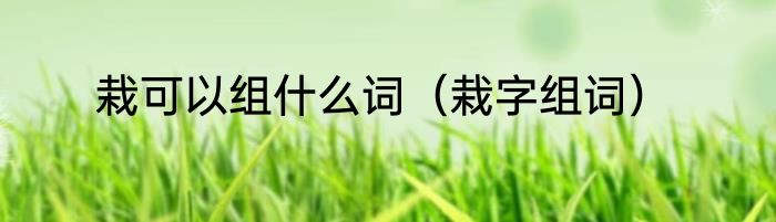 栽可以组什么词（栽字组词）