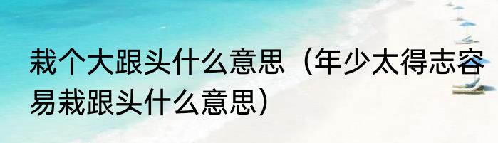 栽个大跟头什么意思（年少太得志容易栽跟头什么意思）