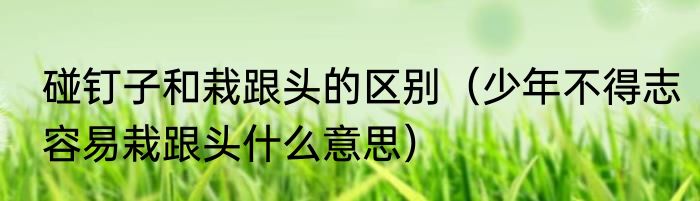 碰钉子和栽跟头的区别（少年不得志容易栽跟头什么意思）