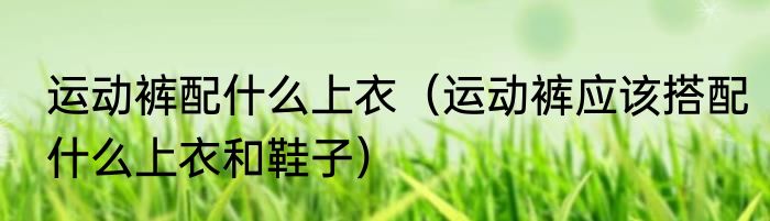 运动裤配什么上衣（运动裤应该搭配什么上衣和鞋子）