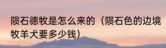 陨石德牧是怎么来的（陨石色的边境牧羊犬要多少钱）