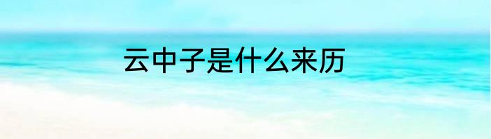 云中子是什么来历