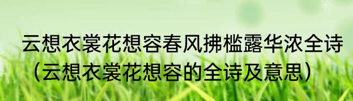 云想衣裳花想容春风拂槛露华浓全诗（云想衣裳花想容的全诗及意思）