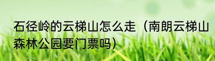 石径岭的云梯山怎么走（南朗云梯山森林公园要门票吗）