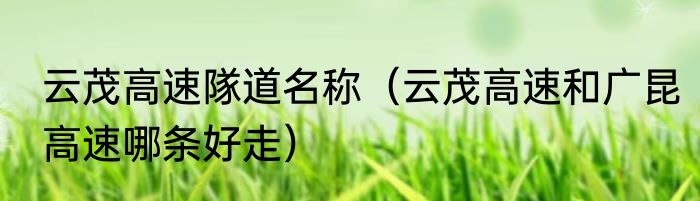 云茂高速隊道名称（云茂高速和广昆高速哪条好走）