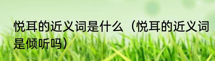 悦耳的近义词是什么（悦耳的近义词是倾听吗）