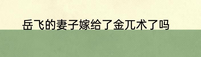 岳飞的妻子嫁给了金兀术了吗