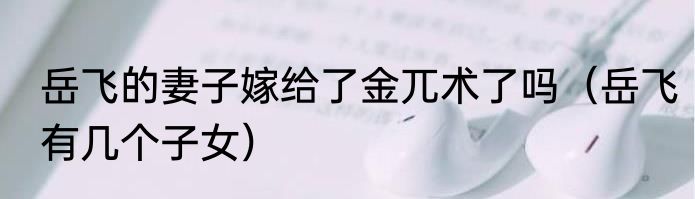 岳飞的妻子嫁给了金兀术了吗（岳飞有几个子女）