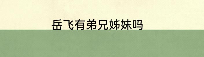 岳飞有弟兄姊妹吗