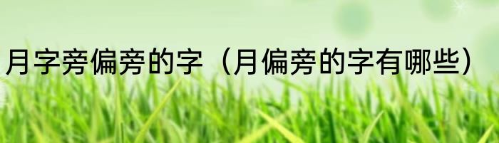 月字旁偏旁的字（月偏旁的字有哪些）