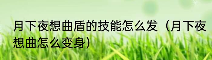 月下夜想曲盾的技能怎么发（月下夜想曲怎么变身）
