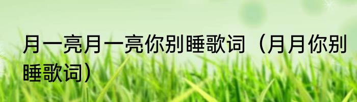 月一亮月一亮你别睡歌词（月月你别睡歌词）