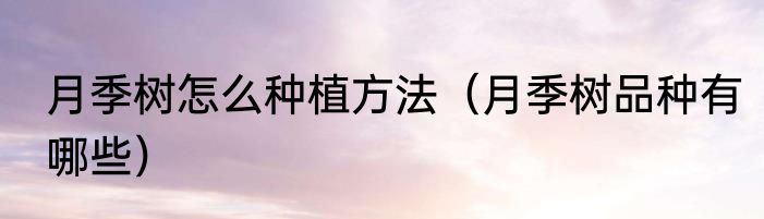月季树怎么种植方法（月季树品种有哪些）