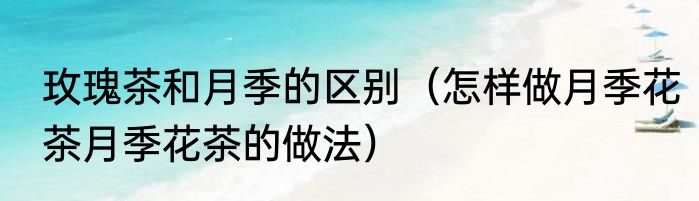 玫瑰茶和月季的区别（怎样做月季花茶月季花茶的做法）
