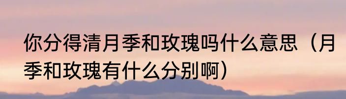 你分得清月季和玫瑰吗什么意思（月季和玫瑰有什么分别啊）