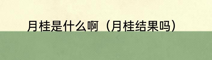 月桂是什么啊（月桂结果吗）