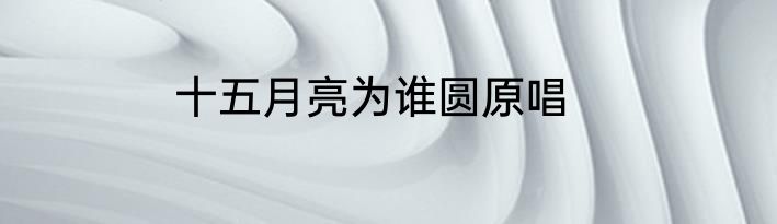 十五月亮为谁圆原唱