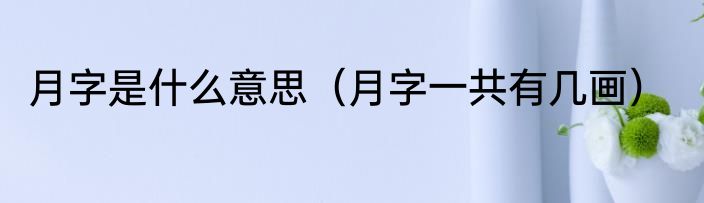 月字是什么意思（月字一共有几画）