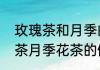 玫瑰茶和月季的区别（怎样做月季花茶月季花茶的做法）