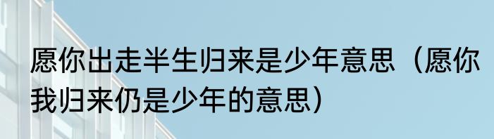 愿你出走半生归来是少年意思（愿你我归来仍是少年的意思）