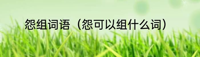 怨组词语（怨可以组什么词）