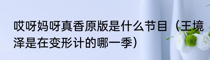 哎呀妈呀真香原版是什么节目（王境泽是在变形计的哪一季）