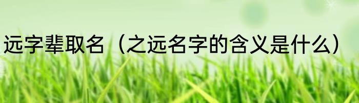 远字辈取名（之远名字的含义是什么）