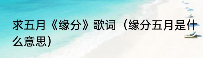 求五月《缘分》歌词（缘分五月是什么意思）