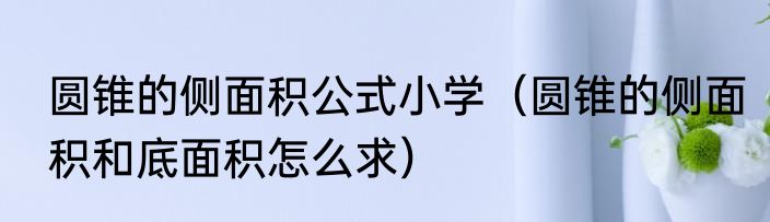 圆锥的侧面积公式小学（圆锥的侧面积和底面积怎么求）