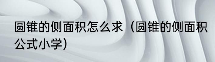 圆锥的侧面积怎么求（圆锥的侧面积公式小学）