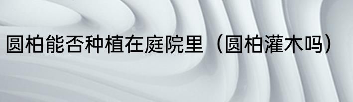 圆柏能否种植在庭院里（圆柏灌木吗）