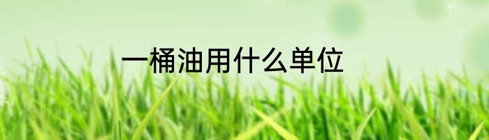 一桶油用什么单位