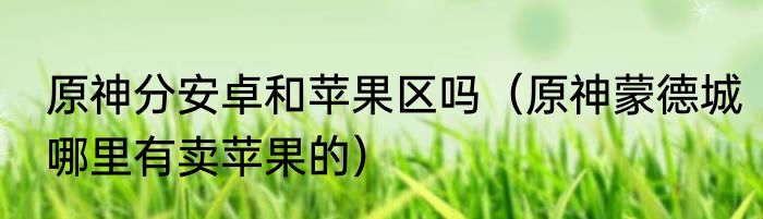 原神分安卓和苹果区吗（原神蒙德城哪里有卖苹果的）
