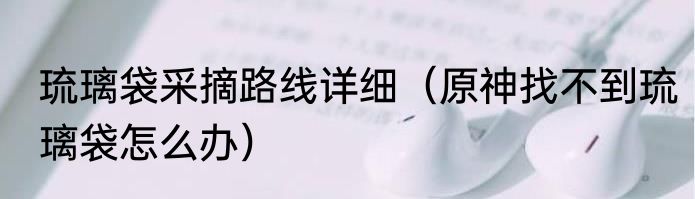 琉璃袋采摘路线详细（原神找不到琉璃袋怎么办）