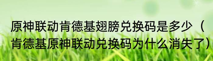 原神联动肯德基翅膀兑换码是多少（肯德基原神联动兑换码为什么消失了）