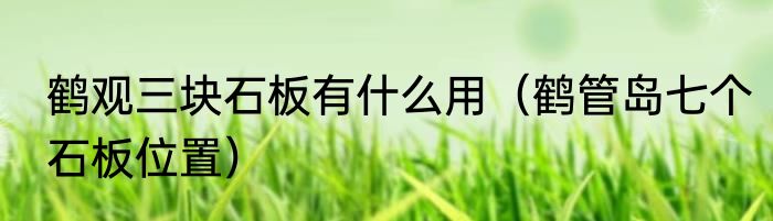 鹤观三块石板有什么用（鹤管岛七个石板位置）
