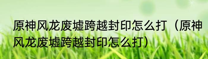 原神风龙废墟跨越封印怎么打（原神风龙废墟跨越封印怎么打）