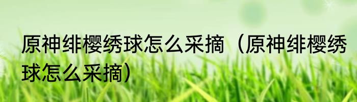 原神绯樱绣球怎么采摘（原神绯樱绣球怎么采摘）