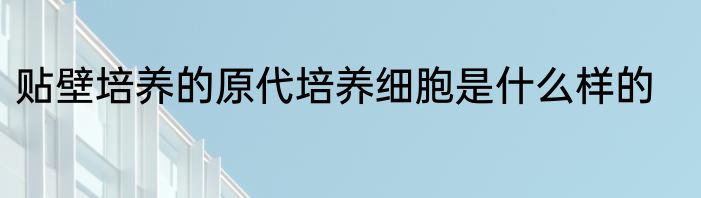 贴壁培养的原代培养细胞是什么样的