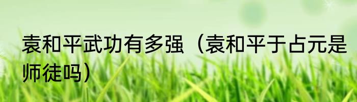 袁和平武功有多强（袁和平于占元是师徒吗）