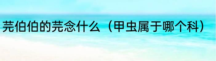 芫伯伯的芫念什么（甲虫属于哪个科）