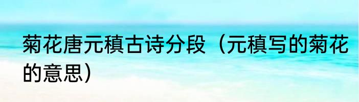 菊花唐元稹古诗分段（元稹写的菊花的意思）