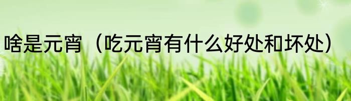 啥是元宵（吃元宵有什么好处和坏处）