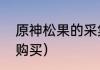 原神松果的采集地点（原神松果哪里购买）