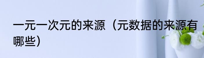 一元一次元的来源（元数据的来源有哪些）