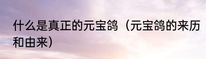 什么是真正的元宝鸽（元宝鸽的来历和由来）