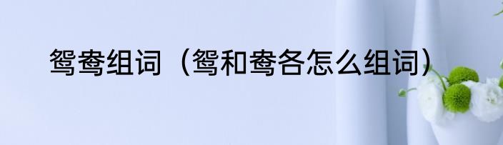 鸳鸯组词（鸳和鸯各怎么组词）