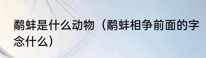 鹬蚌是什么动物（鹬蚌相争前面的字念什么）